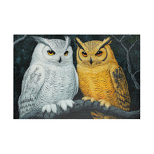 Load image into Gallery viewer, Owl Puzzle - Stunning 110, 252, 520, 1014-Piece Jigsaw for Nature Lovers
