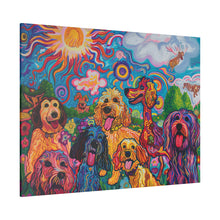 Load image into Gallery viewer, Doodles at Play
