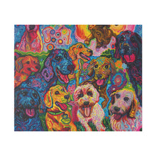 Load image into Gallery viewer, Doodles at Play
