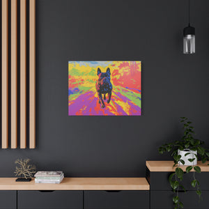 Cane Corso colorful wall art