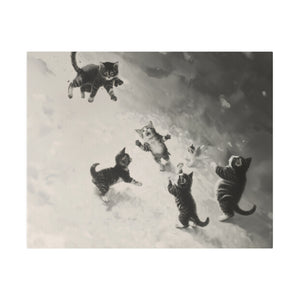 Cats at Play