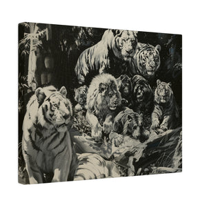 Lions & Tigers