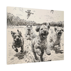 Dogs at Play