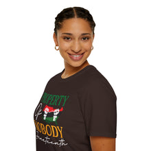 Load image into Gallery viewer, Unisex Softstyle T-Shirt - Juneteenth
