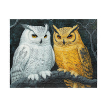 Load image into Gallery viewer, Owl Puzzle - Stunning 110, 252, 520, 1014-Piece Jigsaw for Nature Lovers
