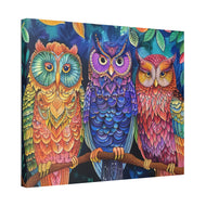 Colorful Owls
