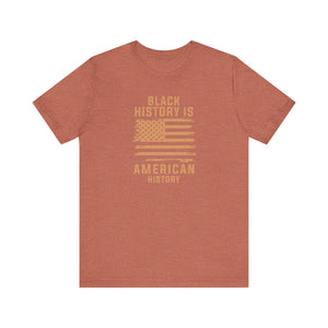 Black History is American History Tee