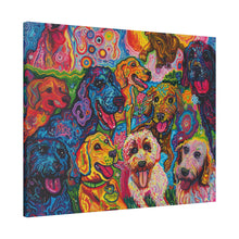 Load image into Gallery viewer, Doodles at Play
