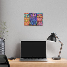 Load image into Gallery viewer, Colorful Owls
