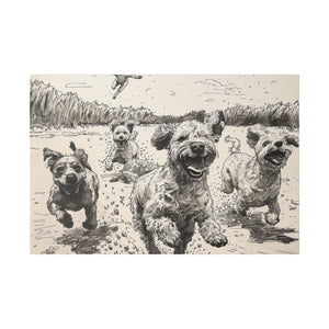 Dogs at Play
