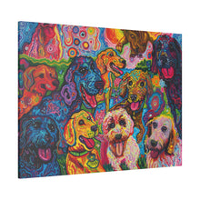 Load image into Gallery viewer, Doodles at Play
