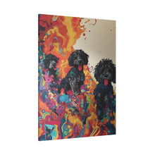 Load image into Gallery viewer, Doodles at Play
