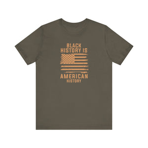 Black History is American History Tee