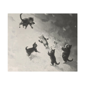 Cats at Play
