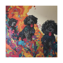 Load image into Gallery viewer, Doodles at Play
