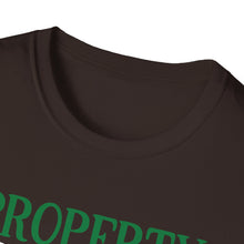 Load image into Gallery viewer, Unisex Softstyle T-Shirt - Juneteenth
