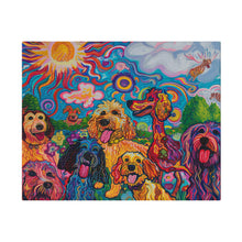 Load image into Gallery viewer, Doodles at Play
