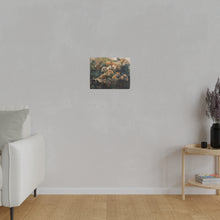 Load image into Gallery viewer, Lion &amp; Tigers
