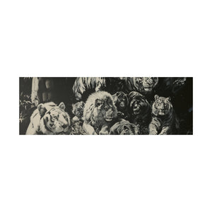 Lions & Tigers