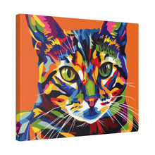 Load image into Gallery viewer, Colorful Cat
