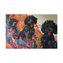 Load image into Gallery viewer, Doodles at Play
