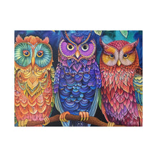 Load image into Gallery viewer, Colorful Owls
