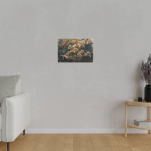 Load image into Gallery viewer, Lion &amp; Tigers
