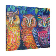 Colorful Owls