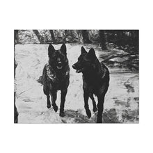 Load image into Gallery viewer, German Shephard Canvas Art
