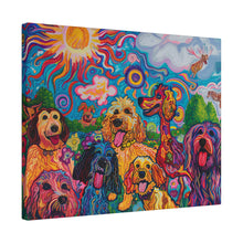 Load image into Gallery viewer, Doodles at Play
