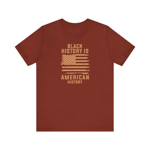Black History is American History Tee