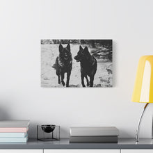 Load image into Gallery viewer, German Shephard Canvas Art
