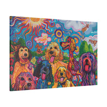 Load image into Gallery viewer, Doodles at Play
