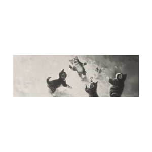 Cats at Play
